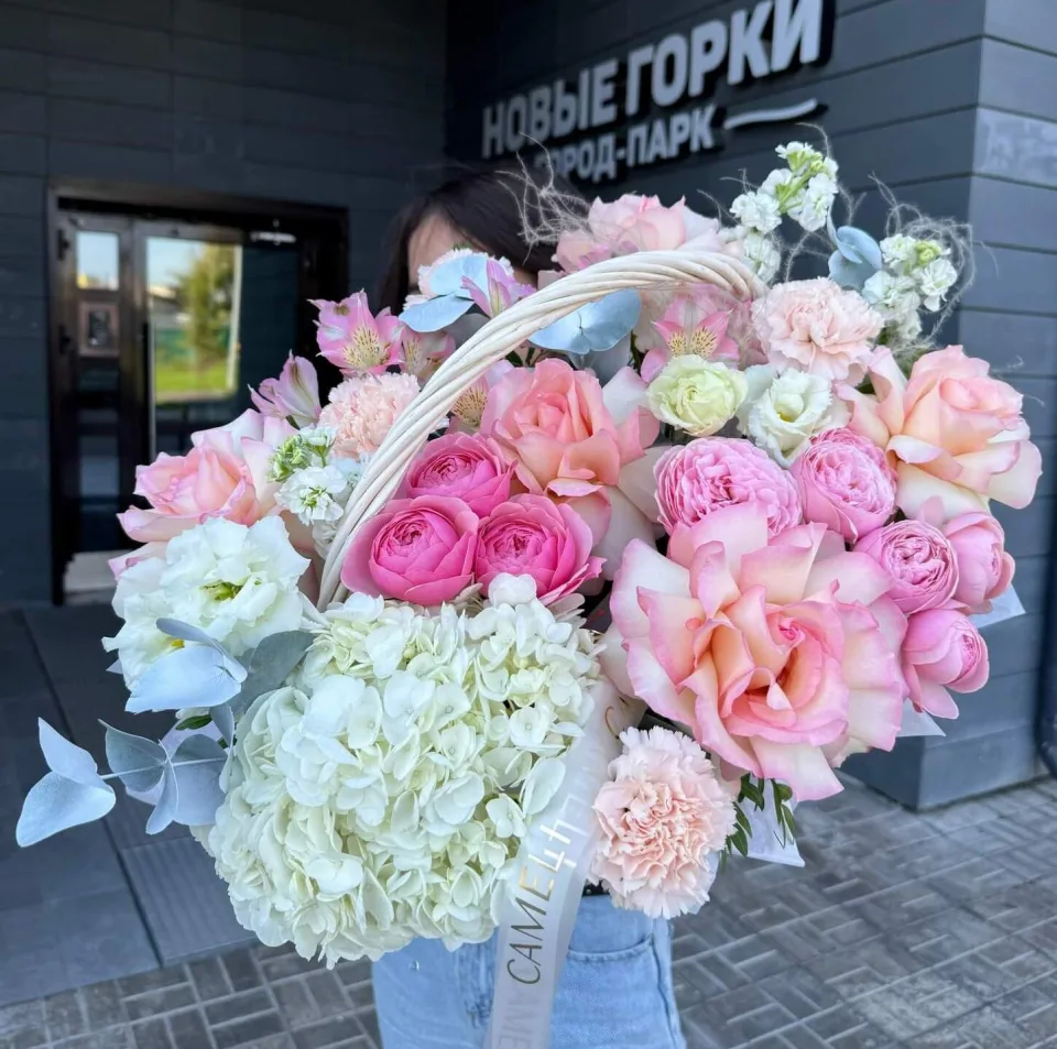 Композиции