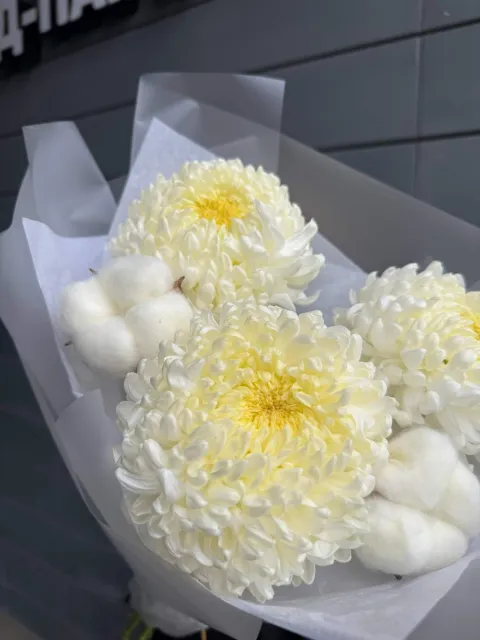 БУКЕТ ИЗ КРЕМОВЫХ ОДНОГОЛОВЫХ ХРИЗАНТЕМ ФРЕД — фото 3